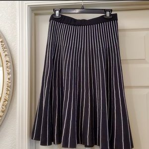 Premise pleated design ladies skirt is a size Large.